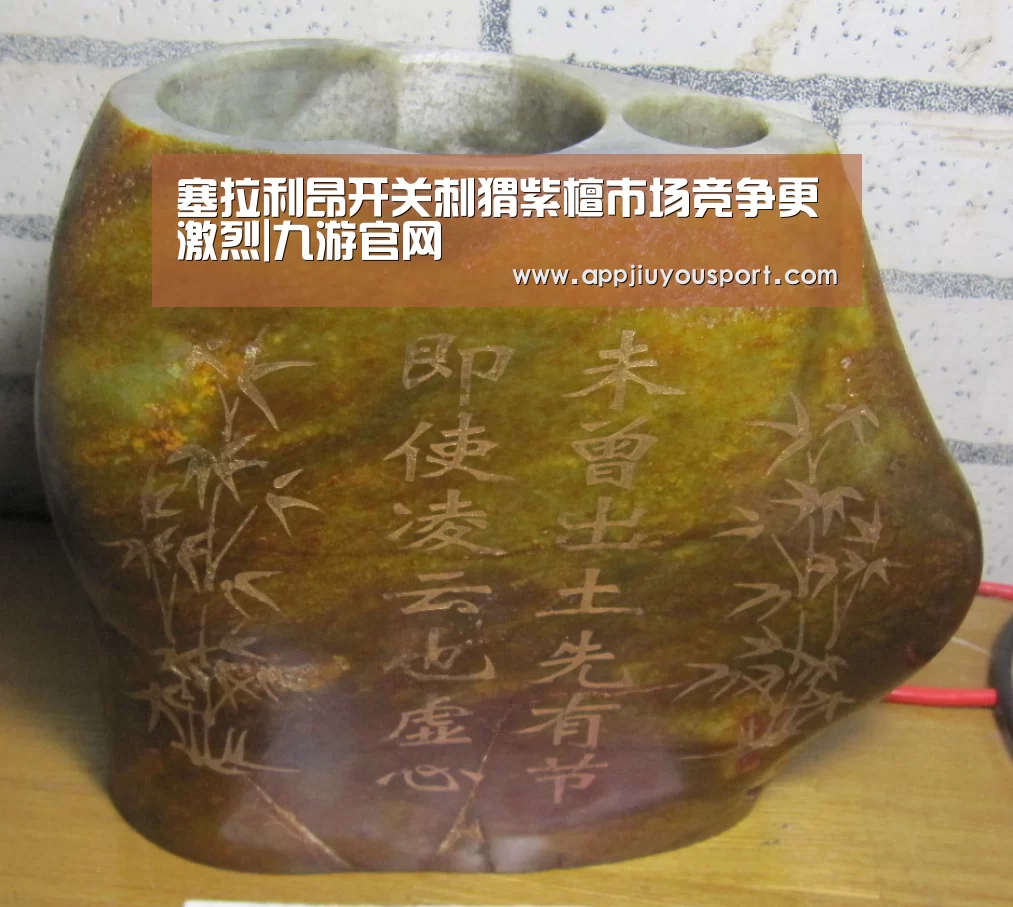 塞拉利昂开关刺猬紫檀市场竞争更激烈|九游官网(图2)